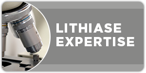 urologie-paris-opera-Expertise-Lithiase