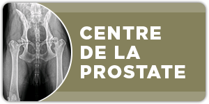 urologie-paris-opera-Expertise-prostate